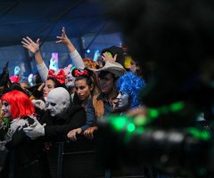 GALERIA 31